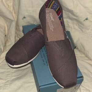 TOMS Ash Canvas Classic (NWT)